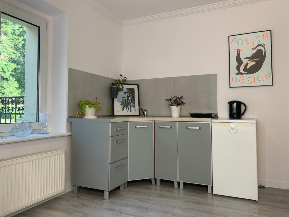 Apartament Lesny - Lesna 30 Кудова-Здруй Екстер'єр фото